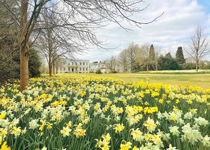 Buxted Park Country House