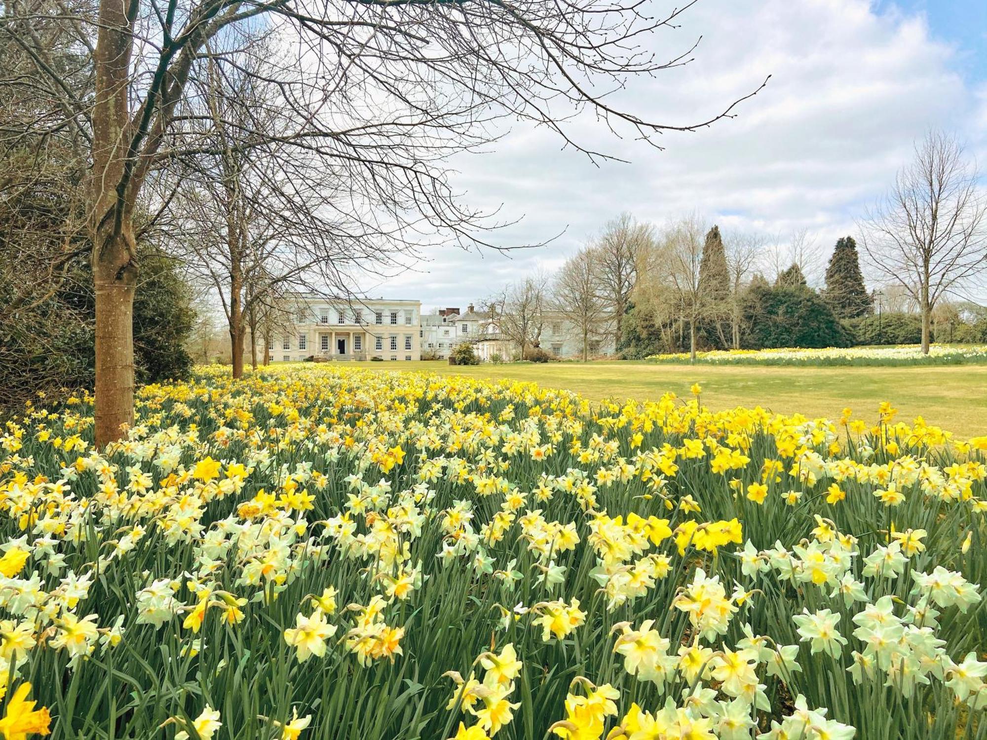 Country house Buxted Park